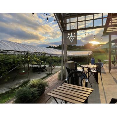 ふるさと納税 富山県 ねこかぶり 2021 |  | 03