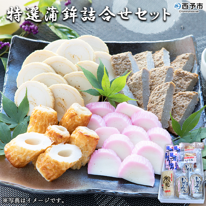 ＜特選蒲鉾 詰め合わせセット 4種 計9袋＞ かまぼこ 練り物 練り製品 珍味 伊予蒲鉾 特産品 愛媛県 西予市