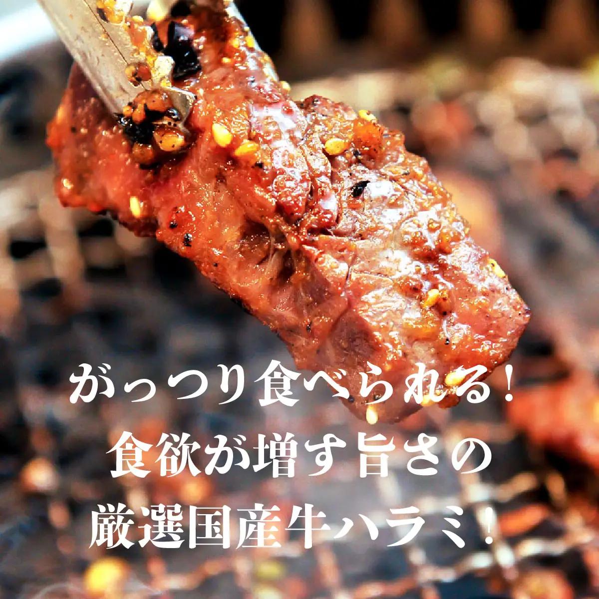 ヤマジュウの特製タレ漬け！牛ハラミ肉１ｋｇ FN-Limited-PR