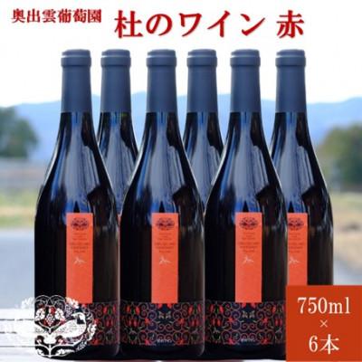 ふるさと納税 雲南市 杜のワイン赤　750ml×6本　辛口ワイン 赤ワイン6本セット