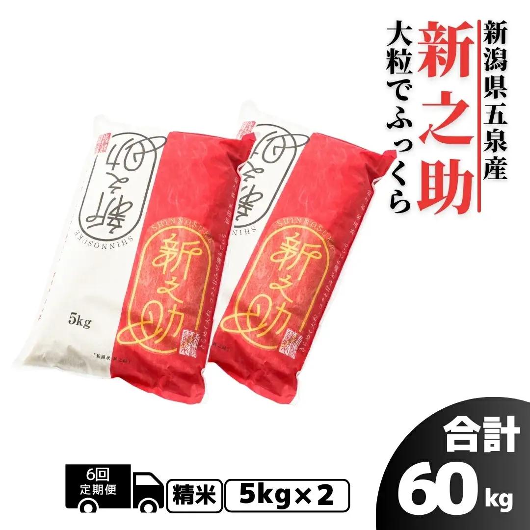 【定期便6回】【先行予約】令和8年産 新之助 10kg×6回 計60kg | 新潟県 五泉市 新之助