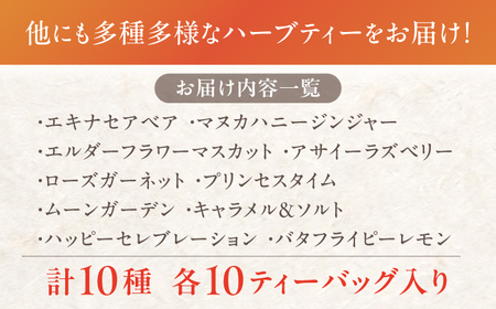 おいしい ハーブティー 10種 飲み比べ セット 各10個入 瑞浪市 / 生活の木 瑞浪ファクトリー直送 お茶 カフェインレス [AZBE022]