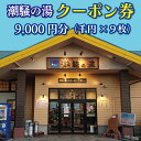 【ふるさと納税】天然温泉 潮騒の湯 クーポン券 9000円分（1000円×9枚） 露店風呂 サウナ おんせん 大洗サンビーチ 海鮮 魚介 食事 宿泊 チケット 利用券 アウトドア 旅行