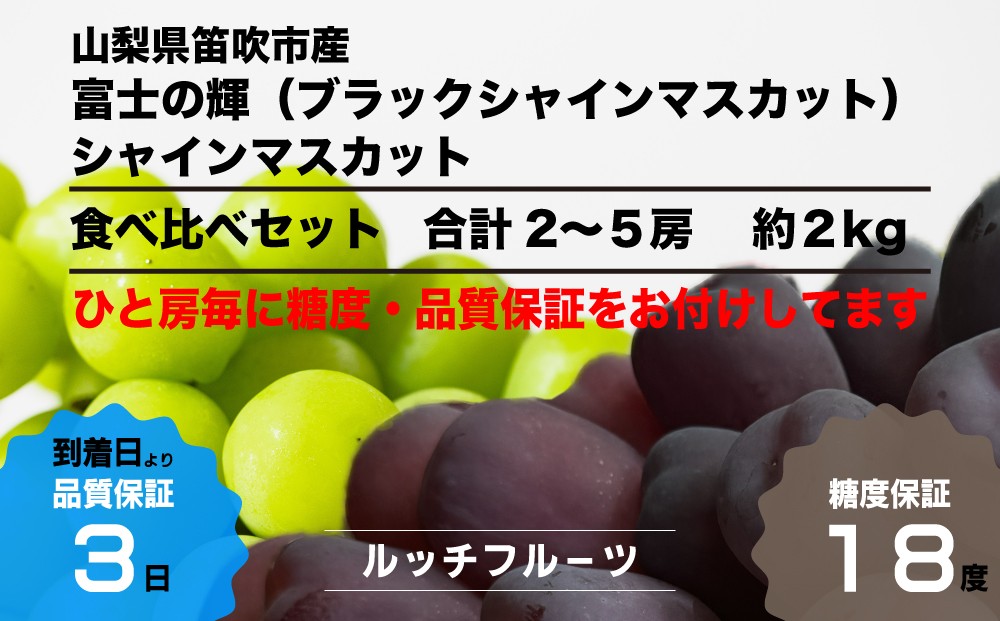 
            【糖度18度保証付】ブラックシャインマスカット「富士の輝」食べ比べセット 合計約2kg 2～5房【数量限定】旬の美味しいフルーツだけをお届けします【ルッチ Rucci】産地直送 山梨県 笛吹市 果物 葡萄 ぶどう 黒ブドウ 黒系 黒いシャインマスカット 贈答 人気 ギフト 104-020
          