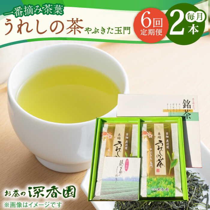 【ふるさと納税】【6回定期便】一番摘み茶葉使用 うれしの茶 2本入（やぶきた 玉門 100g×2本） /お茶の深香園[UAF008] 茶 お茶 緑茶 茶葉