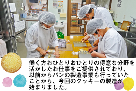 るぴなすクッキーセット プレーン/マーブル/レーズン/紅茶 各60g×8袋 かわいいデザインのポストカード2枚付き《60日以内に出荷予定(土日祝除く)》