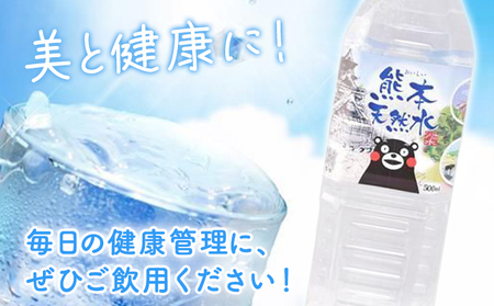 【6ヶ月定期便】シリカ天然水 500ml×24本 計144本 株式会社Foody's《申込月の翌月から出荷開始》熊本県 菊池市 シリカ水 飲料水 ミネラルウォーター 水 軟水 鉱水 ペットボトル 定期