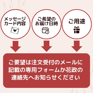 トップフローリスト厳選の胡蝶蘭 10本立ち※配達エリア限定【記念日に届くお花シリーズ 10本立ち 世界らん展 フラワードリームジャパンカップ 国内主要コンテスト受賞 プロ厳選 神奈川県 小田原市 蘭 