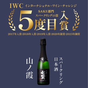 七賢 日本酒 飲み比べ小容量セット12本　No3