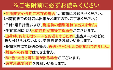 【2026年発送分 先行予約】【全3回定期便】淡雪・さがほのか 紅白いちごセット 計1.32kg （220g×2パック×3回） / いちご いちご いちご いちご いちご いちご いちご / 佐賀県 