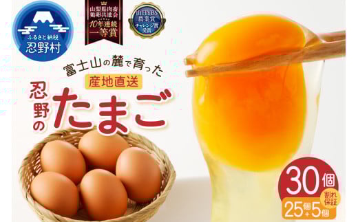 富士山の麓で育った産地直送 ”忍野の卵”※卵25個+割れ保証5個　計30個