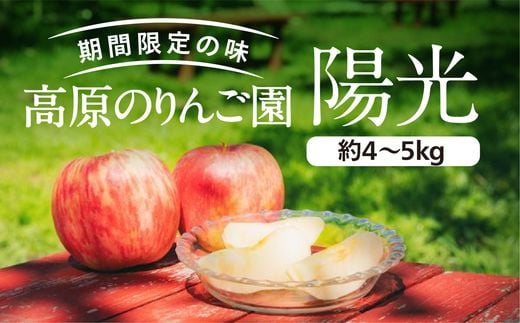 
愛媛県久万高原町産「陽光りんご」約4～5kg ※2023年10月上旬頃～11月上旬頃に順次発送予定
