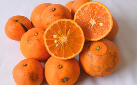 【来シーズン 先行予約】≪家庭用≫カラマンダリン 約10kg ※2026年3月下旬～順次発送 農家直送 / くだもの 果実 柑橘 果物 フルーツ 国産 和歌山県 由良町 からまんだりん カラ 人気 お