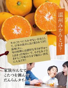 温州みかん「ゆらっ子」5Kg【先行予約】※2025年12月初旬頃～順次発送予定(お届け日指定不可) / ゆらみかん 由良町 ミカン 柑橘 期間限定 和歌山【jahd003】