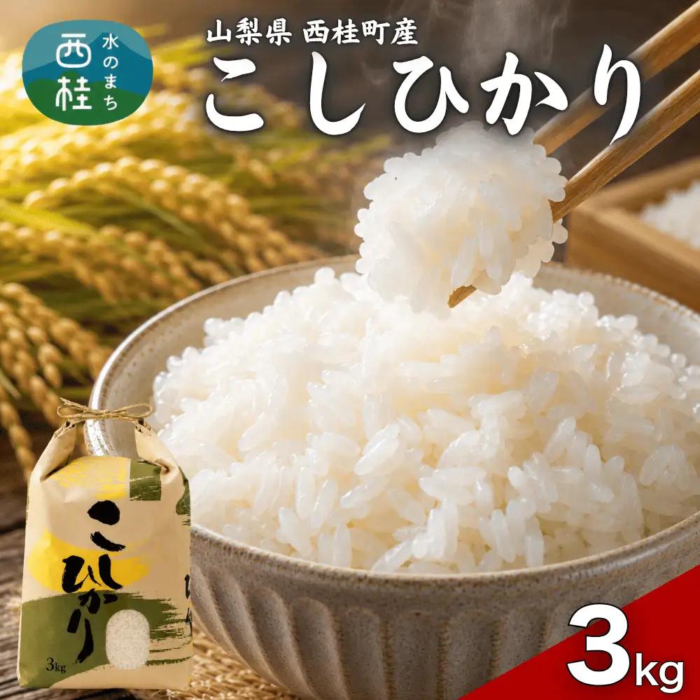 コシヒカリ 3キロ 1袋 / 国産 こしひかり  3キロ 令和7年 新米 米 お米 保存袋 生活必需品 ギフト 贈り物 お歳暮 ふるさと納税 送料無料