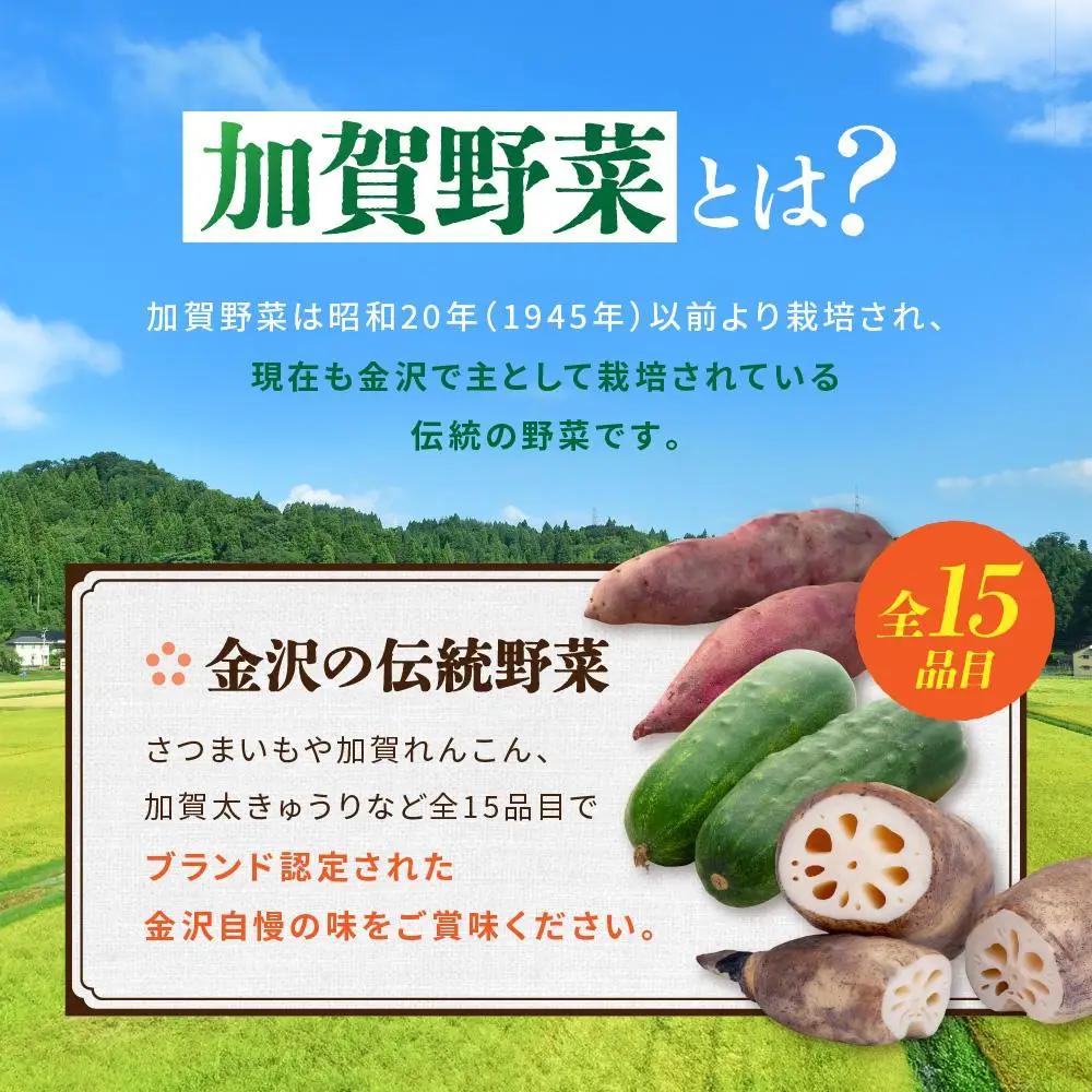 JA金沢市 季節の加賀野菜・金沢地物野菜セット 野菜詰め合わせ