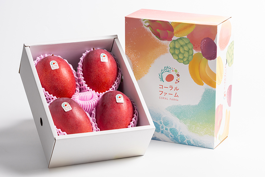 【2026年発送】コーラルファーム(優品2kg)アップルマンゴー(4~6玉)