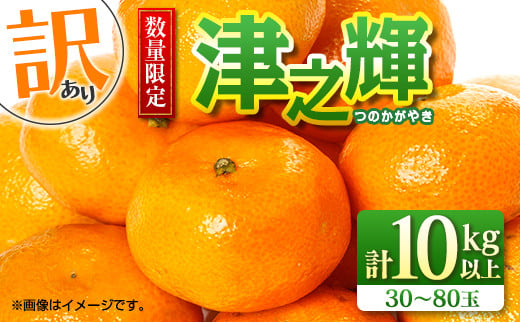 先行予約 訳あり 数量限定 津之輝 つのかがやき 10kg以上 (5kg×2箱) フルーツ 果物 くだもの 柑橘 みかん 国産 食品 おすすめ 訳アリ ご家庭用 ご自宅用 B品 傷 おすそ分け デザート おやつ フルーツサンド ジュース 宮崎県 日南市 送料無料_D74-23