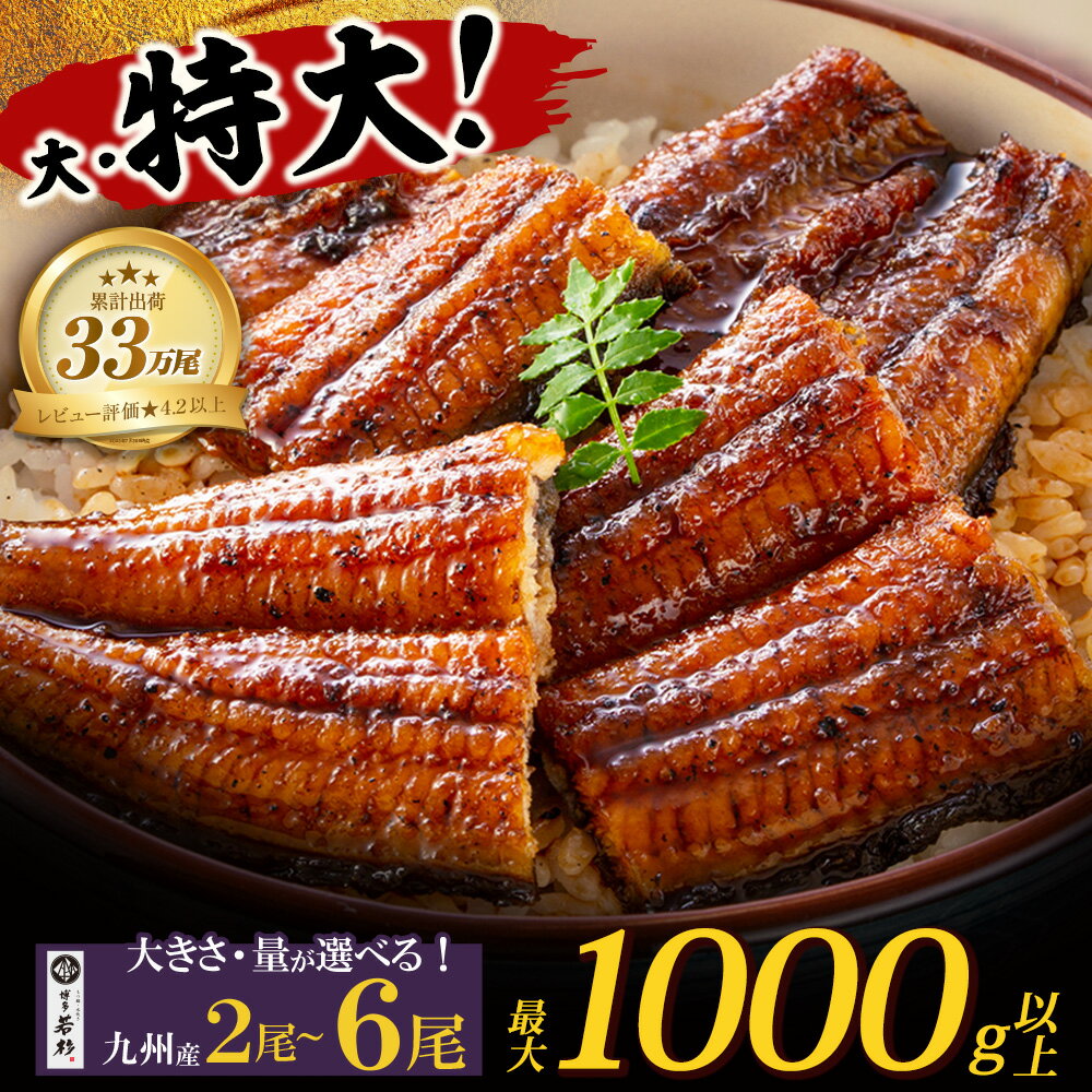 国産うなぎ蒲焼特大サイズ4尾（計800g以上）鰻蒲焼用タレ・山椒付