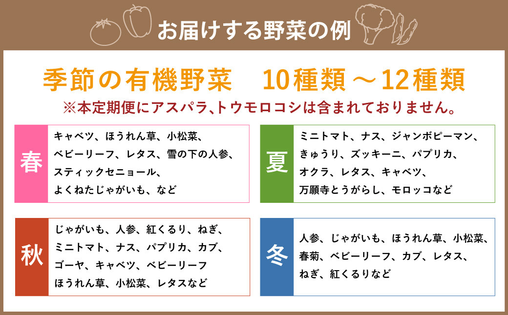 【12ヶ月定期便】有機JAS認定 季節の野菜 詰め合わせ～有機野菜セットA～