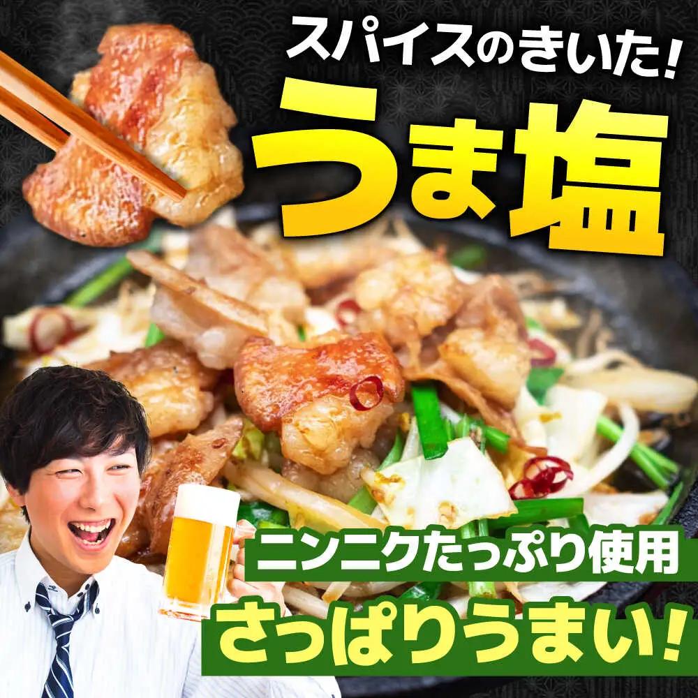 【12回定期便】岐阜県産豚もつの鉄板焼き「元祖みたけとんちゃん」豚塩味（16人前）[AVAA081]豚 定期