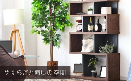 ラック 本棚 シェルフ オープン 収納 ディスプレイラック ブラウン | 収納棚 本棚 ディスプレイ 大川家具 九州 インテイリア オシャレ お洒落 実用性 収容力 おしゃれ