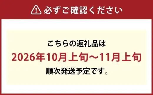 訳あり 木熟ぶどう ハレノシャイン シャインマスカット 晴王 2房 合計約1.1kg 果物 くだもの 果実 フルーツ 果汁 ぶどう 葡萄 ブドウ マスカット 皮ごと 国産 岡山県産 冷蔵 【 2026