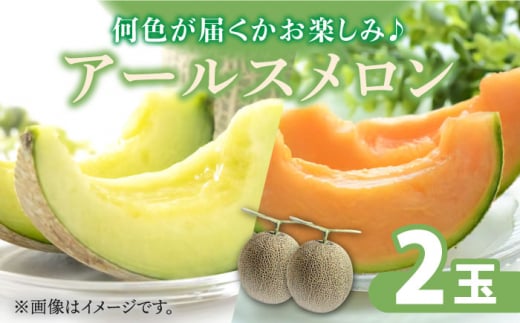 【2026年11月中旬～発送】アールス メロン (2玉) / メロン めろん メロン めろん メロン 青肉 果物 フルーツ / 南島原市 / JA島原雲仙東南部基幹センター [SAC004]