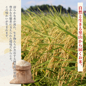 ほたる米 10kg（茨城県共通返礼品・城里町産） / 米 こめ コメ お米 おこめ ほたる米 白米 精米 ごはん ご飯 令和7年産 10kg 茨城県 城里町 利根町