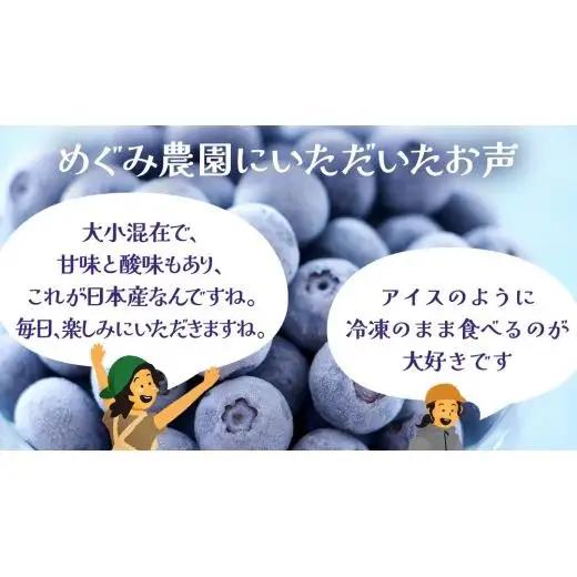 【 最短 7日以内 発送 】 冷凍 ブルーベリー 小玉 500g	【 化学肥料 農薬 使わずに栽培 】 数量限定 小粒 国産 フルーツ スムージー 果物 くだもの 農家直送 スイーツ アイス ノーザン
