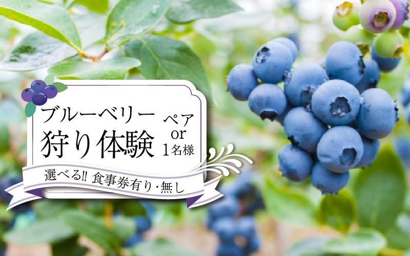 
            ブルーベリー 狩り 体験 チケット 選べる お一人様 ペア2名様 思い出 家族 夏休み 農園 観光 かずら橋 祖谷 秘境 古民家 カフェ 食事 お土産 フルーツ狩り 果物 徳島 三好 みよし
          