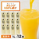 【ふるさと納税】めいらく業務用100%果汁(オレンジ)　12本【1289797】