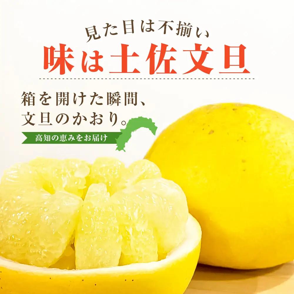 【ふるなびWEEK対象】先行予約 訳あり 土佐文旦 家庭用 約5kg 約8～15玉 M～5L混合サイズ 高知県産 FN-Limited-WE