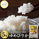 【ふるさと納税】 道産米 ゆめぴりか 5kg 北海道 十勝 芽室町令和5年産 お米 ごはん ご飯 白米 精米 つやつや やわらか ふっくら おにぎり 北海道産