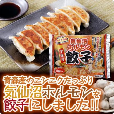 ふるさと納税 宮城県 気仙沼ホルモン餃子2P