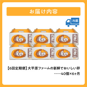 【6回定期便】大平原ファームの新鮮でおいしい卵 計40個(赤卵)×6ヶ月【北海道 清水 卵 赤卵 240個 こだわり卵 卵かけご飯 玉子 タマゴ 卵焼き TKG 温泉卵 オムレツ ゆでたまご 栄養満点