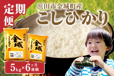 【定期便】【令和6年産】浜田市金城町産こしひかり（5ｋｇ×６回コース）＜10月上旬以降の発送 定期便 6回 こしひかり お取り寄せ 特産 お米 精米 白米 ごはん ご飯 コメ 新生活 応援 準備【366】