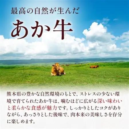 熊本県産 GI認証取得 くまもとあか牛 切り落とし 合計800g(益城町)【配送不可地域：離島】【1712450】