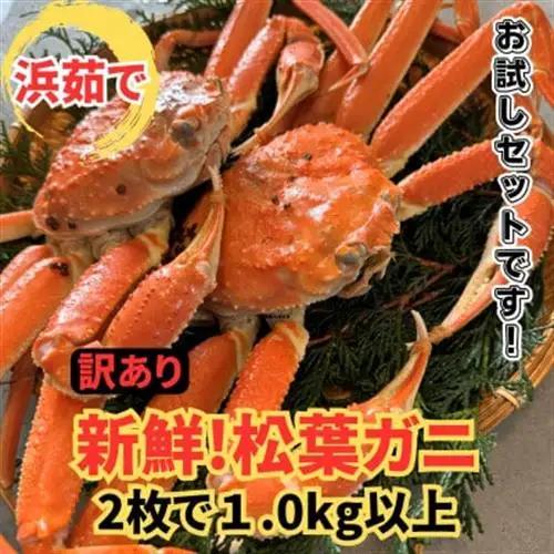 【さかなや新鮮組】鳥取県産 訳あり 浜茹で松葉ガニ1.0kgセット ご家庭用 漁港直送【配送不可地域：離島・北海道・沖縄県・東北・信越、北陸】【1759406】