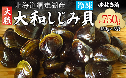 網走湖産「大和しじみ貝」750g（150g×5） ABC035