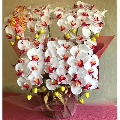 ふるさと納税 大垣市 光触媒造花胡蝶蘭　10本立(ホワイトイエロー) |  | 02