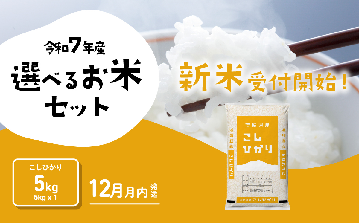 【12月発送】コシヒカリ 5kg 令和7年産 新米 茨城県産 白米 精米 茨城県 お米 米 [SF326yai]