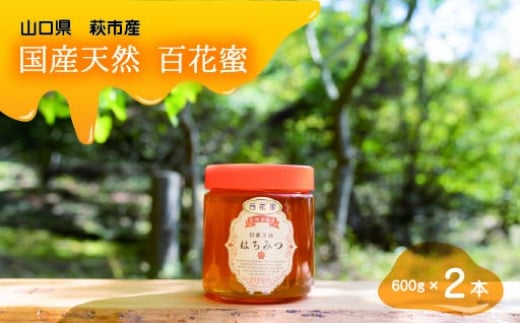 
            純粋天然　百花はちみつ　600g×2本　｜HG001061
          