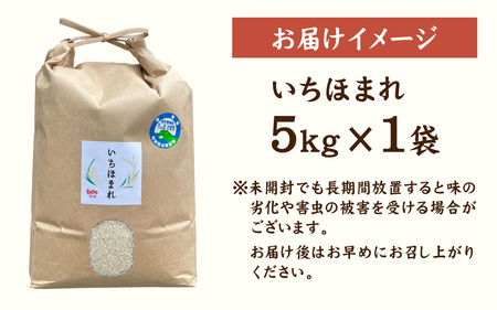 【令和7年産】減農薬・化学肥料不使用  いちほまれ 5kg×1袋 特別栽培米 福井 ブランド米  5キロ 令和7年 