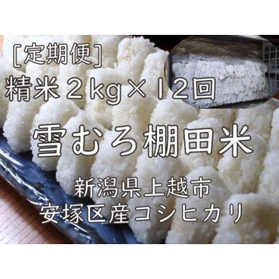 ふるさと納税 上越市 【毎月定期便】雪むろ棚田米コシヒカリ2kg(2kg×1袋)精米-新潟県上越市安塚区産-全12回