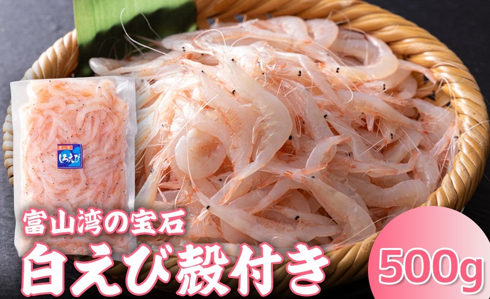 
                  白えび殻付き500g
                