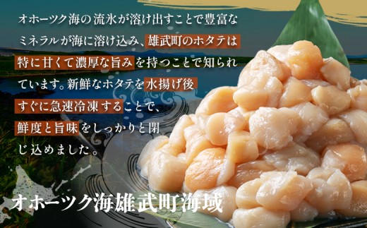 ほたて貝柱(ＢＣフレーク)1kg