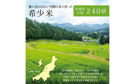 [定期便] 天水田で育った コシヒカリ 5kg × 6か月 オーガニック米 新潟県産 こしひかり [由兵衛どん] 【070S010】