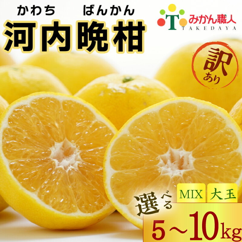 【ふるさと納税】 訳あり 河内晩柑 5kg 10kg 訳あり 先行予約 サイズミックス 大玉 晩柑 かわちばんかん 柑橘 和製 グレープフルーツ 国産 愛媛 みかん 果物 果実 フルーツ 特産品 有名 みかん 職人 武田屋 おいしい ビタミン 傷あり 家庭用 送料無料 (なくなり次第終了)