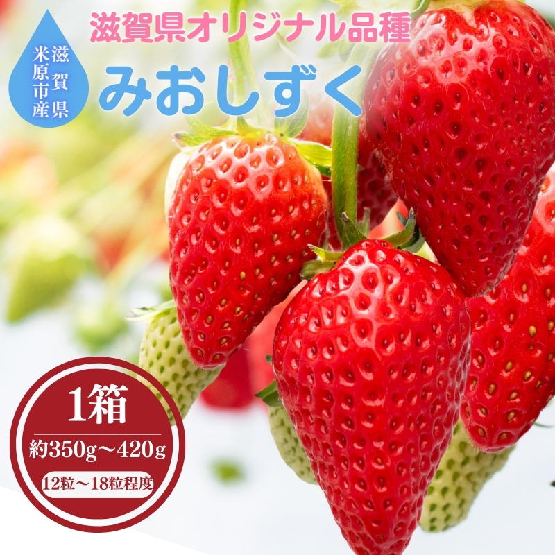 滋賀県オリジナルいちご「みおしずく」※1月中旬より順次
